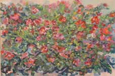 Blooming Purslane
